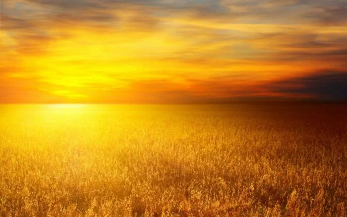 HOLD THE HAPPINESS FOR GOLDEN MANIFESTATION