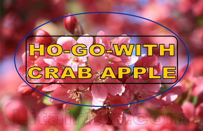 3508 Switch words For Allergies Cure (Very Powerful)