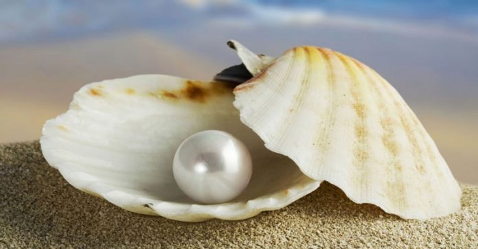 Pearl Pearl Stone for Beauty Charm Emotions Mind Lustrous & Smooth Skin